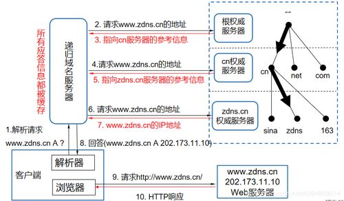 域名系統(tǒng)(DNS) 互聯(lián)網(wǎng)的“電話簿”——起源、原理與服務(wù)解析