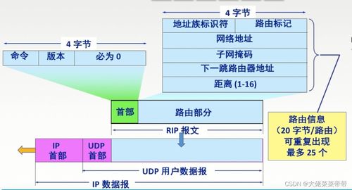 網(wǎng)絡(luò)層在計算機網(wǎng)絡(luò)開發(fā)與服務(wù)中的關(guān)鍵作用